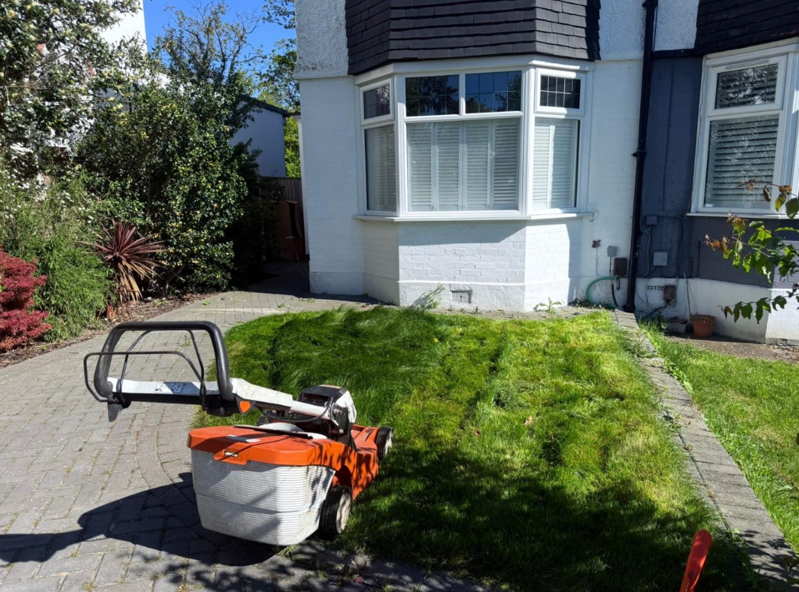 Patio & Lawn Renovation - Before