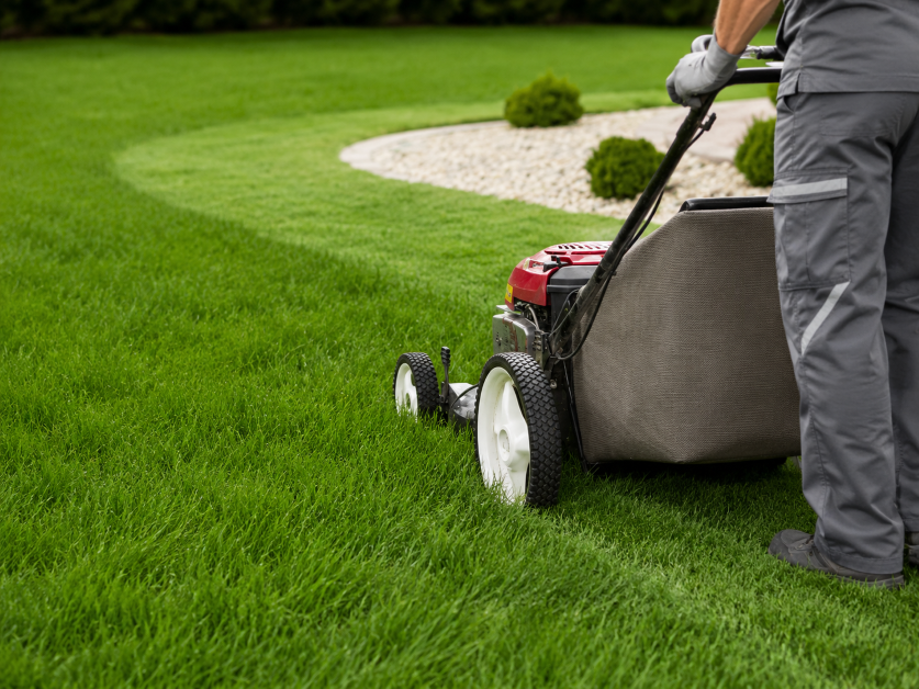 Lawn Mowing - ARO Gardening professional service in London